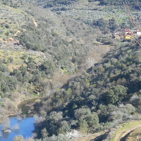Casa Do Souto Villa Quinta do Souto Екстериор снимка