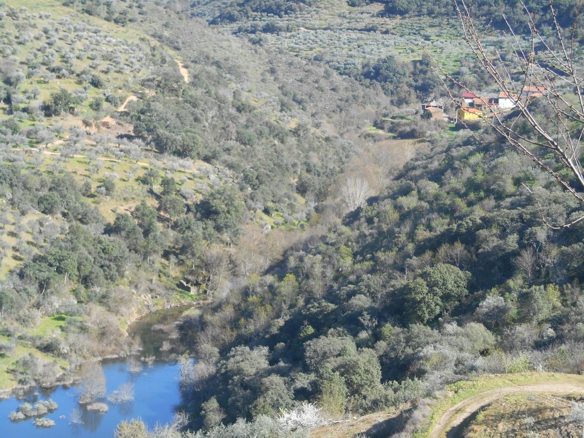 Casa Do Souto Villa Quinta do Souto Екстериор снимка