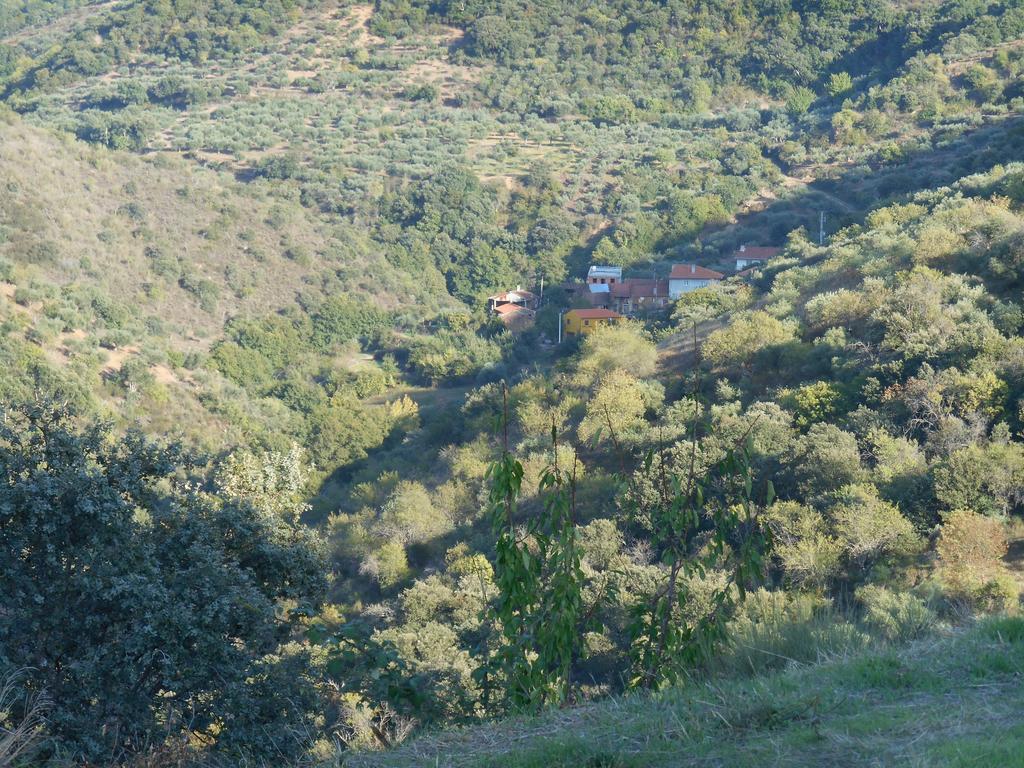 Casa Do Souto Villa Quinta do Souto Екстериор снимка